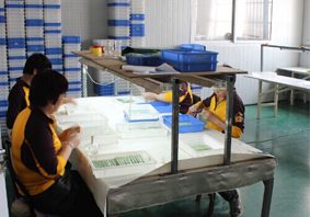 PACKING WORKSHOP