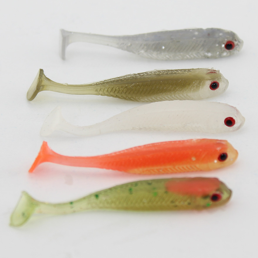 Small Fish