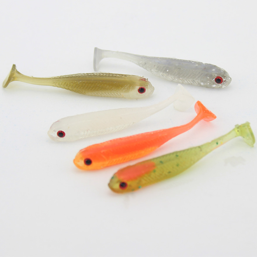 Small Fish